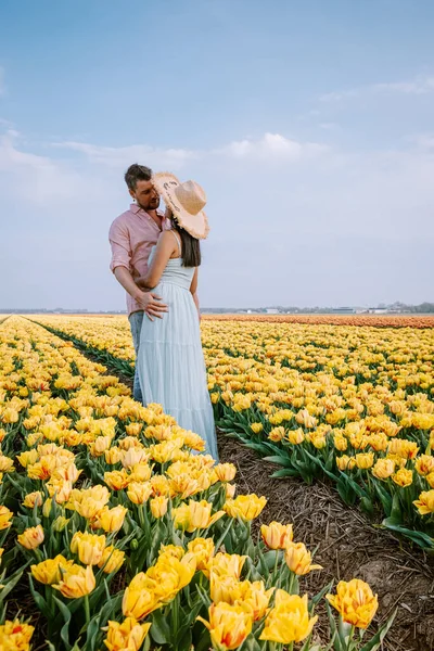 couple walking in flower field during Spring in the Netherlands, boy and girl in Tulip field, men and woman in colorful lines of flowers in the Noordoostpolder Holland