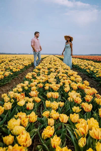 Paar spaziert im Frühling in den Niederlanden im Blumenfeld, Junge und Mädchen im Tulpenfeld, Männer und Frauen in bunten Blumenreihen im Noordoostpolder Holland — Stockfoto