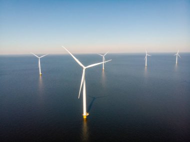 Noordoostpolder Hollanda 'sında renkli lale tarlaları olan yel değirmeni çiftliği, denizde ve karada yeşil enerji yel değirmeni türbini