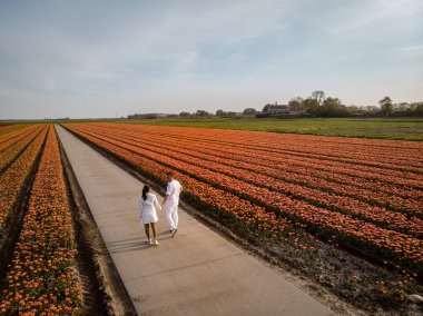 Baharda Hollanda 'da çiçek tarlasında bulunan çift erkek ve kadın Noordoostpolder Flevoland Hollanda yakınlarında turuncu kırmızı laleler, bahar akşamı güneşinde erkek ve kadın