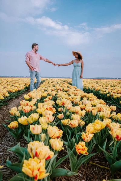 Paar mannen en vrouwen in bloemenveld in Nederland in het voorjaar, oranje rood tulpenveld bij Noordoostpolder Flevoland Nederland, mannen en vrouwen in de lenteavond zon — Stockfoto