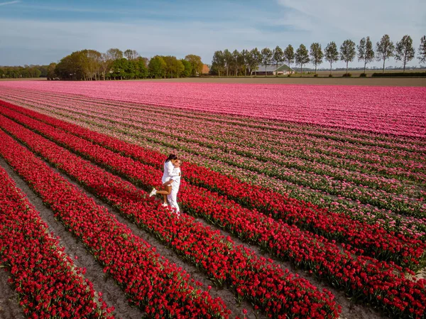 Pareja de hombres y mujeres en el campo de flores en los Países Bajos durante la primavera, campo de tulipanes rojos anaranjados cerca de Noordoostpolder Flevoland Países Bajos, hombres y mujeres en el sol de la noche de primavera — Foto de Stock