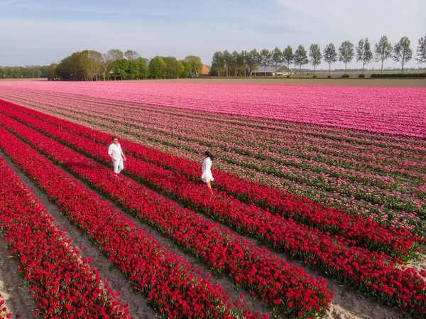 Casal homens e mulheres no campo de flores nos Países Baixos durante a primavera, laranja vermelho tulipas campo perto de Noordoostpolder Flevoland Países Baixos, homens e mulheres no sol da noite Primavera — Fotografia de Stock