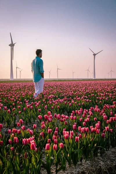 Gün batımında çiçek lale tarlasında genç bir adam Hollanda 'da lale tarlasında genç bir adam Noordoostpolder — Stok fotoğraf
