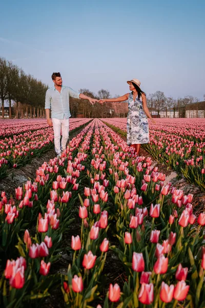 couple in flower field , dutch tulips, men and woman in white tulip field in the Netherlands