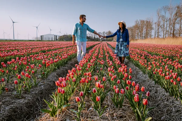 Tulpenblumenfeld bei Sonnenuntergang in den Niederlanden Noordoostpolder Europa, glückliches junges Paar Männer und Frauen mit Kleid posiert in Blumenfeld in den Niederlanden — Stockfoto
