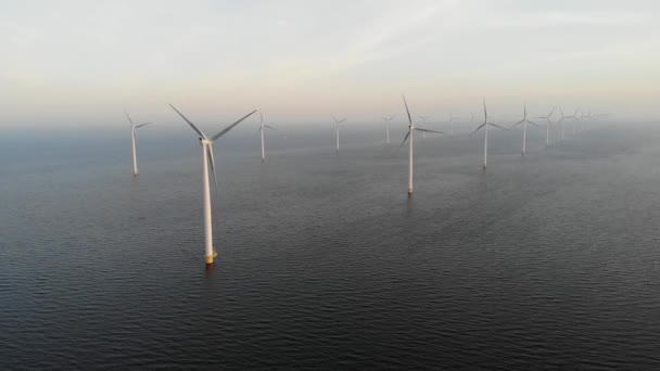 Windmühlenfarm mit bunten Tulpenfeldern im Noordoostpolder-Niederland, Green Energy-Windkraftanlage auf See und an Land — Stockvideo