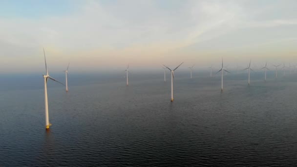 Granja de molinos de viento con coloridos campos de tulipanes en las tierras bajas de Noordoostpolder, turbina de molinos de viento de energía verde en el mar y la tierra — Vídeo de stock