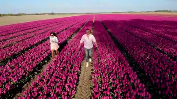 オランダの春の間に花畑を歩くカップル、チューリップ畑の男の子と女の子、北欧の花のカラフルなラインの男性と女性オランダ — ストック動画