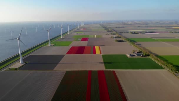 Parque eólico en alta mar energía verde en los Países Bajos Europa, turbinas de molinos eólicos en el mar y la tierra que proporcionan la industria de energía verde — Vídeo de stock