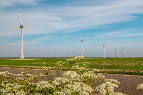 네덜란드의 풍차 농장, 풍력 발전기가 꽃을 피우고 농부들 이 땅에서 일하는 모습, 네덜란드의 녹색 에너지 — 스톡 사진