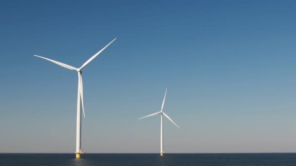 荷兰的风车农场，风车花和农民在土地上劳作，荷兰的绿色能源 — 图库视频影像