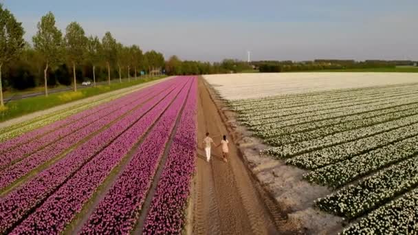 Cuplu de mers pe jos în câmp de flori în timpul primăverii în Olanda, băiat și fată în câmp de lalele, bărbați și femei în linii colorate de flori în Noordoostpolder Olanda — Videoclip de stoc