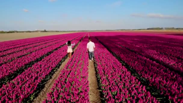 Pareja caminando en el campo de flores durante la primavera en los Países Bajos, niño y niña en el campo de tulipanes, hombres y mujeres en líneas de colores de flores en el Noordoostpolder Holanda — Vídeos de Stock