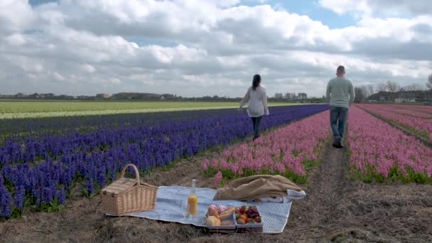 Hollanda 'da bahar boyunca çiçek tarlasında yürüyen çift, Tulip tarlasında erkek ve kız, Noordoostpolder Hollanda' da renkli çiçek çizgileri içinde erkek ve kadın. — Stok video