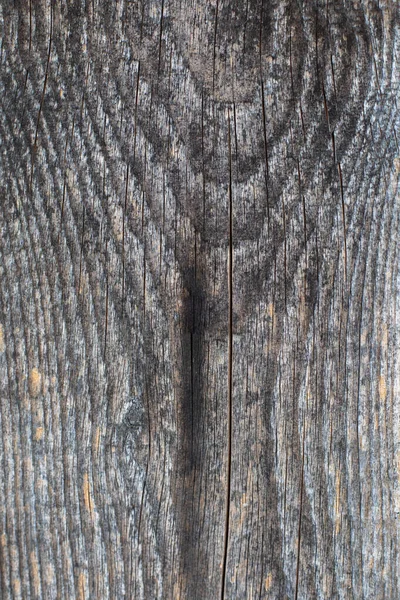 Textura Uso Madeira Casca Como Fundo Natural — Fotografia de Stock