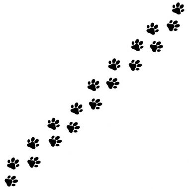 pençe baskı köpek