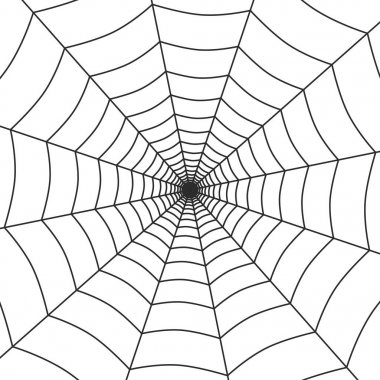 örümcek web simgesi
