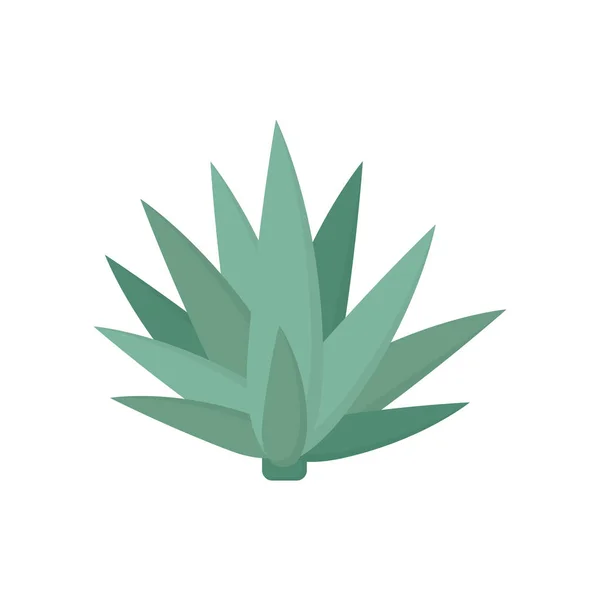 Icône agave style plat design simple — Image vectorielle