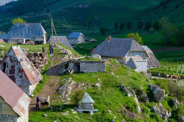 Lukomir, Bosna-Hersek. Bjelasnica Dağı 'ndaki Lukomir köyünde güneşli bir yaz günü.
