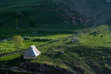 Lukomir, Bosna-Hersek. Bjelasnica Dağı 'ndaki Lukomir köyünde güneşli bir yaz günü.