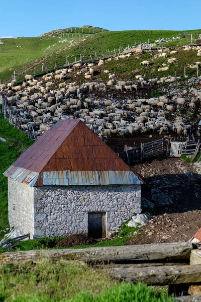 Lukomir Bosnia Herzegovina Una Soleada Tarde Verano Pueblo Lukomir Montaña —  Fotos de Stock