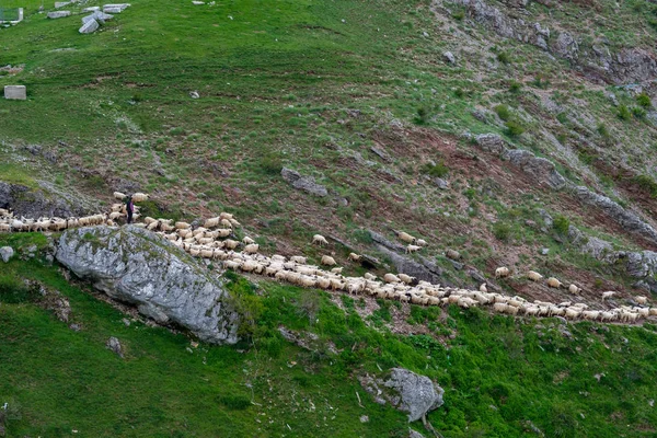 Lukomir Bosnia Herzegovina Una Soleada Tarde Verano Pueblo Lukomir Montaña —  Fotos de Stock