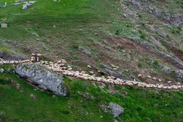 Lukomir Bosnien Und Herzegowina Ein Sonniger Sommerlicher Nachmittag Dorf Lukomir — Stockfoto