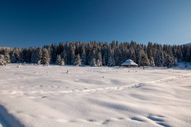 Yoğun karlı kış manzarası - Veliko polje Igman, Bosna-Hersek