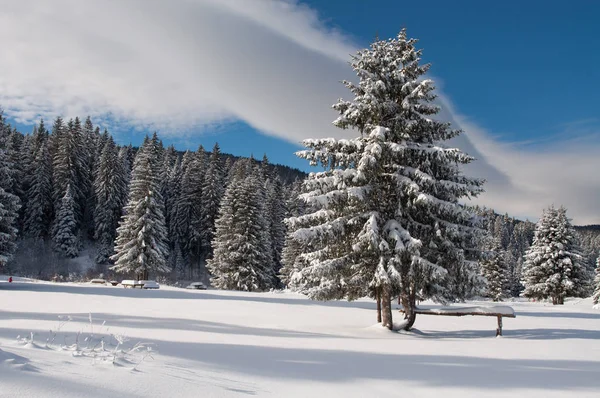 Paisagem Montanha Inverno Com Neve Pesada Veliko Polje Igman Bósnia — Fotografia de Stock