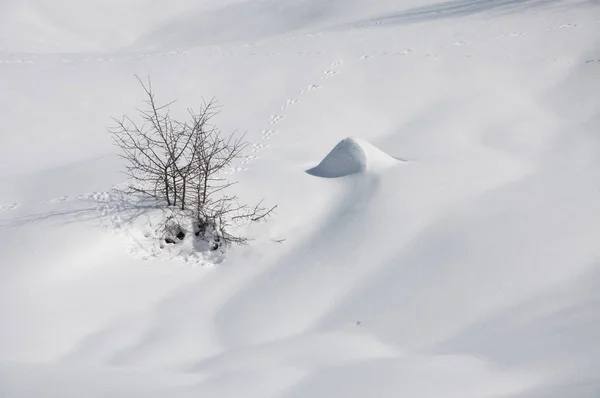 Paisaje Montañoso Invernal Con Nieve Pesada Veliko Polje Igman Bosnia —  Fotos de Stock