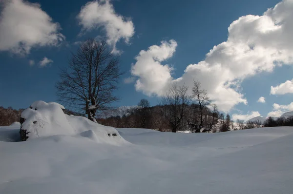 Зимовий Гірський Ландшафт Густим Снігом Veliko Polje Igman Боснія Герцеговина — стокове фото