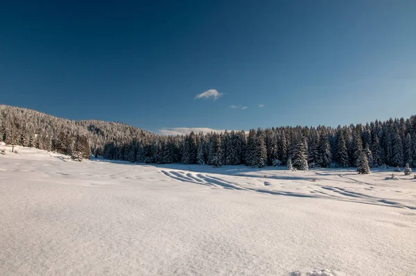 Зимовий Гірський Ландшафт Густим Снігом Veliko Polje Igman Боснія Герцеговина — стокове фото