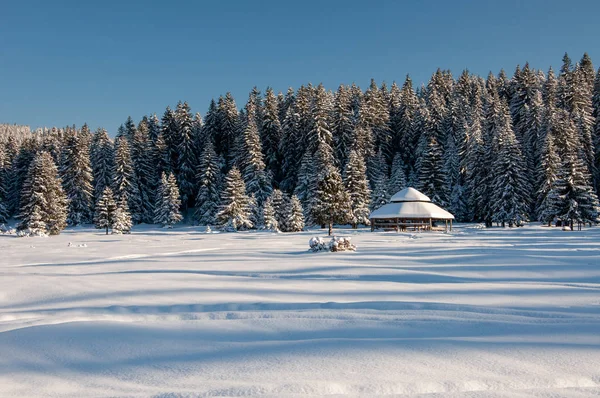 Winter Mountain Landscape Heavy Snow Veliko Polje Igman Bosnia Herzegovina — Stock Photo, Image