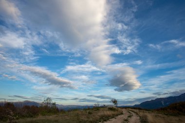 Rüzgarlı hava - ağaçlı dağ manzarası