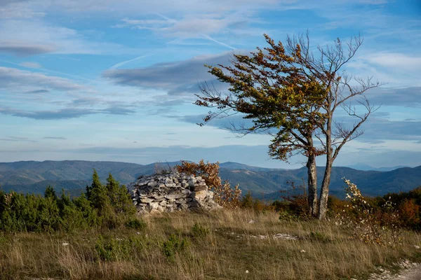 Tempo Ventoso Paisagem Montanhosa Com Árvore — Fotografia de Stock