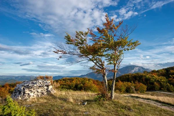 Windiges Wetter Berglandschaft Mit Baum — Stockfoto