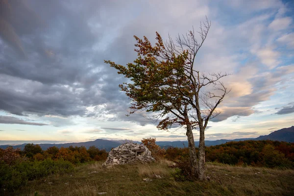 Tempo Ventoso Paisagem Montanhosa Com Árvore — Fotografia de Stock