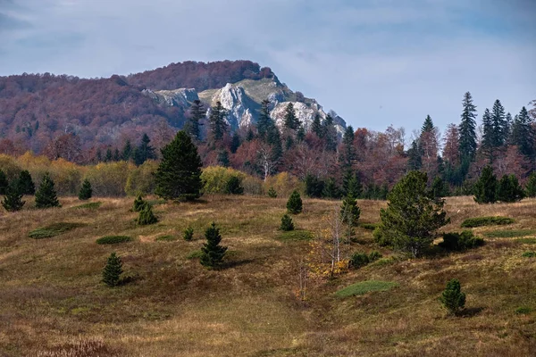 Jezioro Donje Bare Pasmo Górskie Zelengora Park Narodowy Sutjeska Bośnia — Zdjęcie stockowe