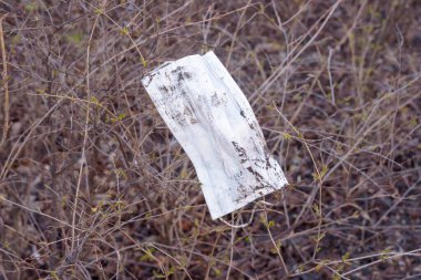  Pis, terk edilmiş, tıbbi, koruyucu bir maske çalıların üzerinde asılı duruyor. Coronavirus, Covid-19, Karantina.