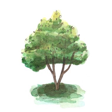 Elle çizilmiş suluboya ağaç çizimi. Noel ağaçları dizisi