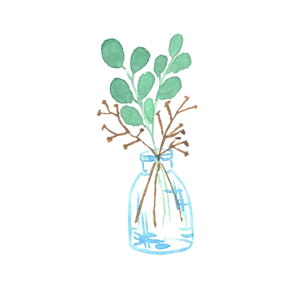 illustration hand draws glass jar and eucalyptus bouquet. Waterc