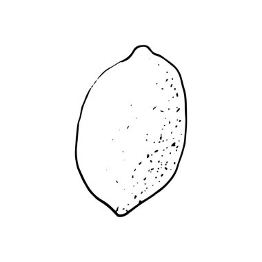 Vektör elle çizilmiş kireç ayarlayın. Bütün kireç, dilimlenmiş parçaları, yarısı, lea