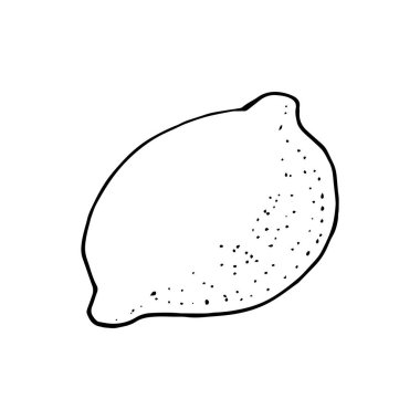 Vektör elle çizilmiş kireç ayarlayın. Bütün kireç, dilimlenmiş parçaları, yarısı, lea