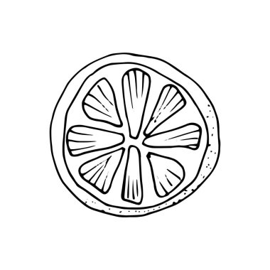 Vektör elle çizilmiş kireç ayarlayın. Bütün kireç, dilimlenmiş parçaları, yarısı, lea