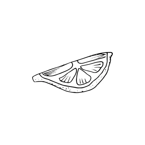 Conjunto de cal desenhado à mão vetorial. Limão inteiro, pedaços cortados, metade, lea — Vetor de Stock