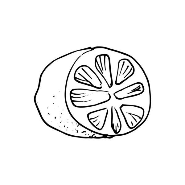 Zeste De Citronストックベクター ロイヤリティフリーzeste De Citronイラスト ページ 6 Depositphotos Zeste De Citronストックベクター ロイヤリティフリーzeste De Citronイラスト ページ 6 Depositphotos