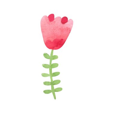 Cute watercolor tulip or rose flower for your cards. Isolated on