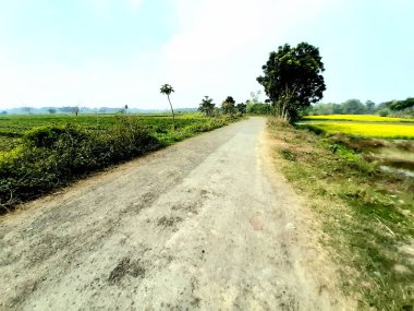 White clouds in the green fields and blue sky around the paved streets of the village of India.