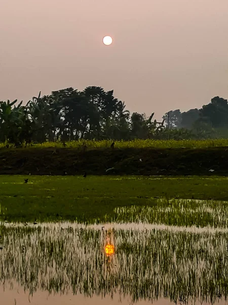 Ao pôr do sol, a terra e o sol dos campos verdes . — Fotografia de Stock